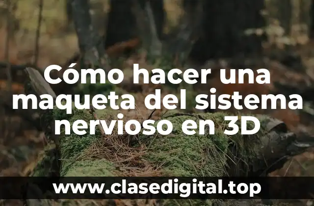 Cómo hacer una maqueta del sistema nervioso en 3D