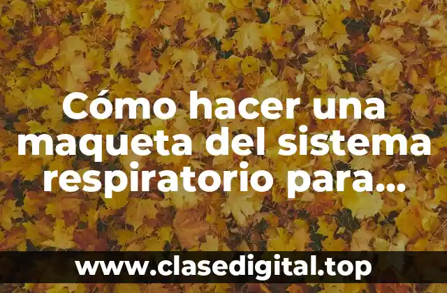 ¿Qué es el sistema respiratorio y cómo funciona?
