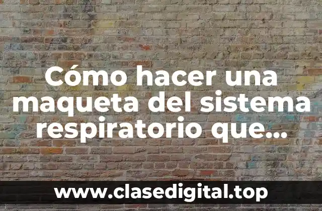 Cómo hacer una maqueta del sistema respiratorio que funcione