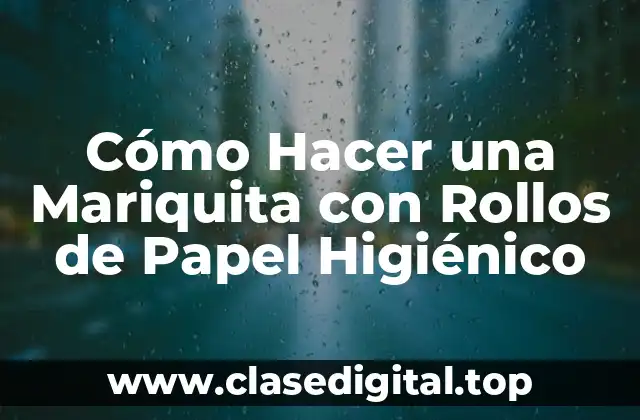 Cómo Hacer una Mariquita con Rollos de Papel Higiénico