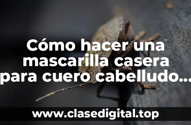 Cómo hacer una mascarilla casera para cuero cabelludo irritado
