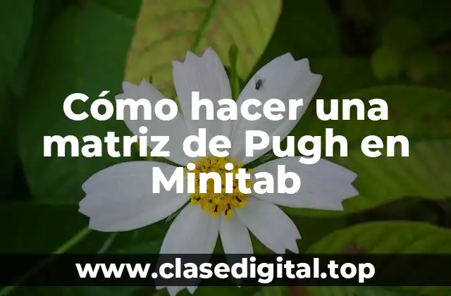 Cómo hacer una matriz de Pugh en Minitab