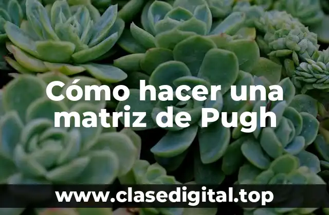 ¿Qué es una matriz de Pugh?