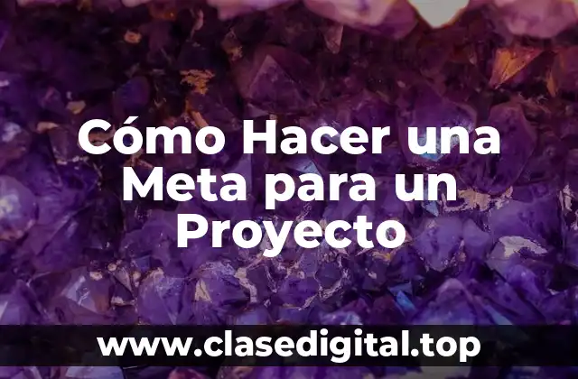 Cómo Hacer una Meta para un Proyecto