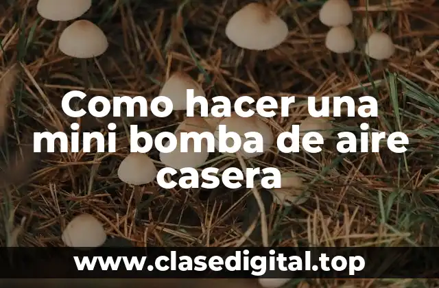 Como hacer una mini bomba de aire casera