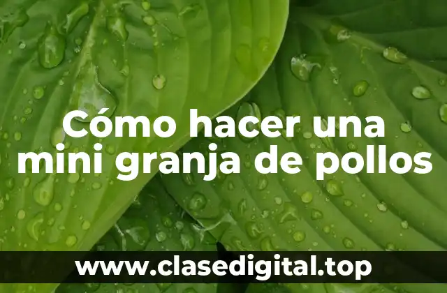 Cómo hacer una mini granja de pollos