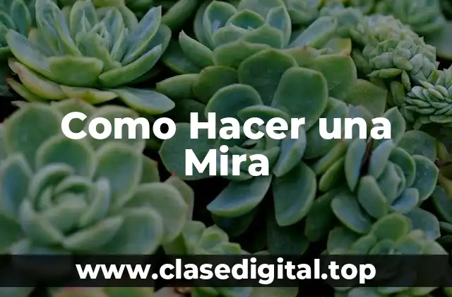 Como Hacer una Mira
