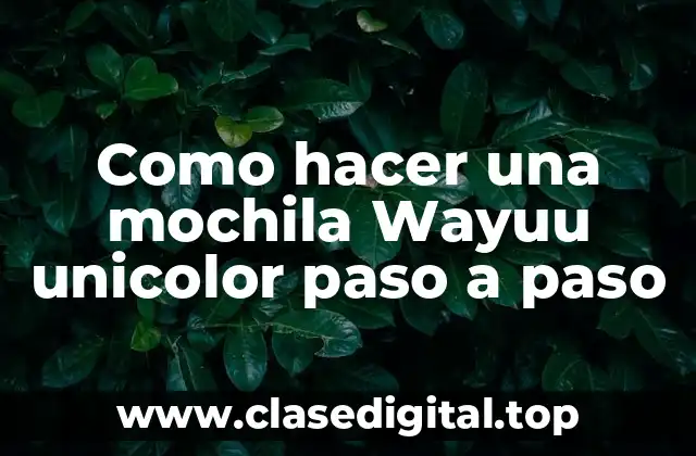 ¿Qué es una mochila Wayuu unicolor?