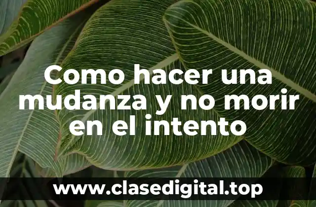 Como hacer una mudanza y no morir en el intento