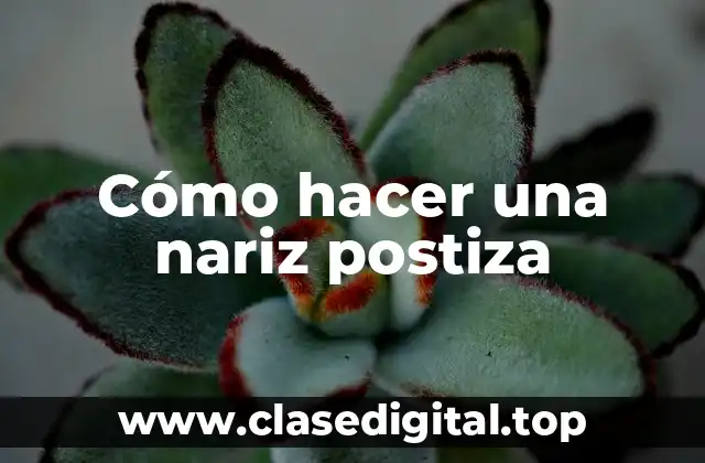 Cómo hacer una nariz postiza