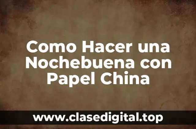 Como Hacer una Nochebuena con Papel China
