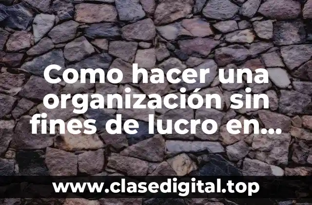¿Qué es una organización sin fines de lucro en México?