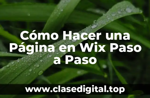 Cómo Hacer una Página en Wix Paso a Paso