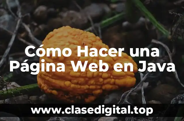 Cómo Hacer una Página Web en Java