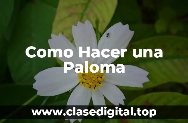 Como Hacer una Paloma