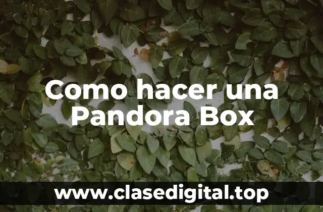 ¿Qué es una Pandora Box y para qué sirve?