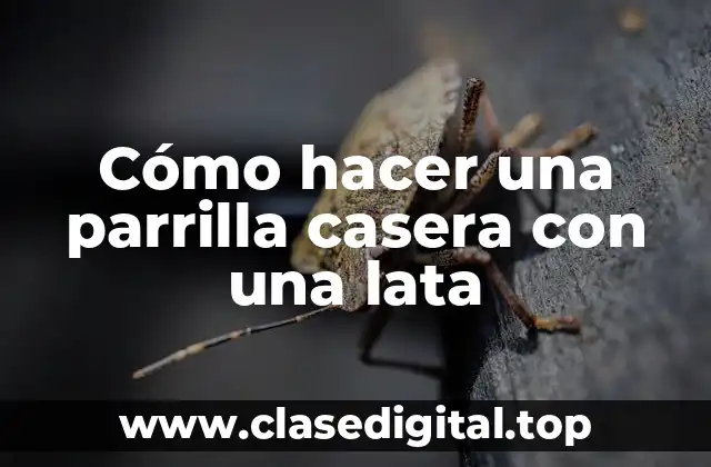 Cómo hacer una parrilla casera con una lata