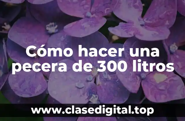 Cómo hacer una pecera de 300 litros