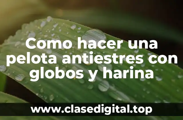 ¿Qué es una pelota antiestres?