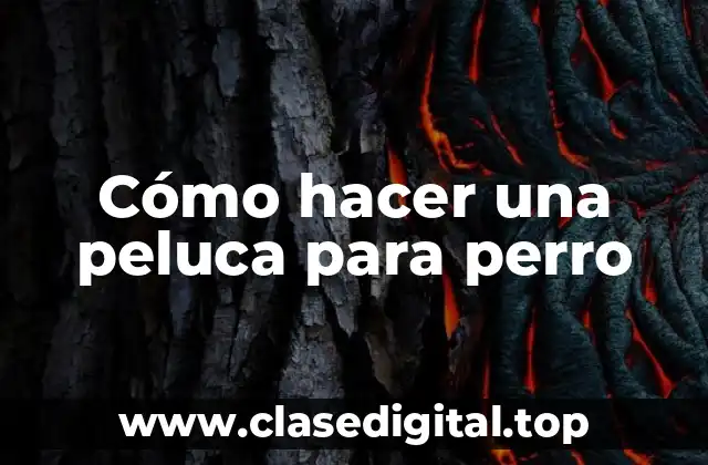 Cómo hacer una peluca para perro