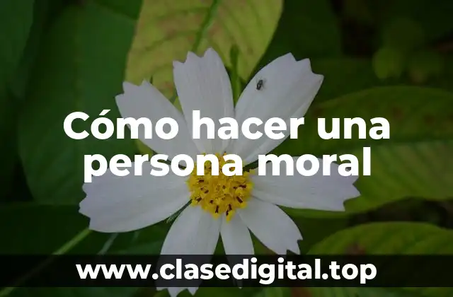 Cómo hacer una persona moral