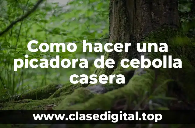 Como hacer una picadora de cebolla casera