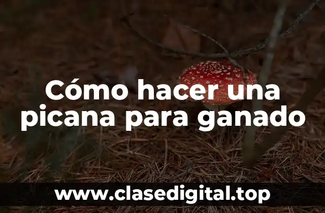 Cómo hacer una picana para ganado