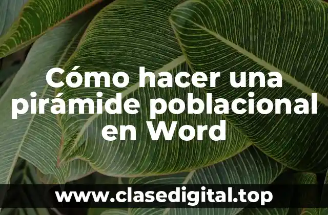 Cómo hacer una pirámide poblacional en Word