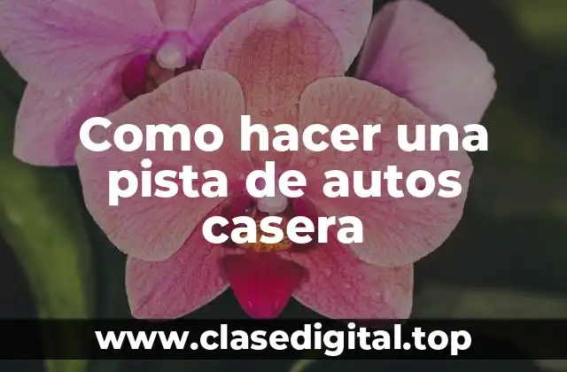 Como hacer una pista de autos casera