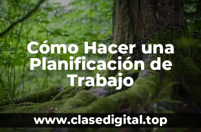 Cómo Hacer una Planificación de Trabajo