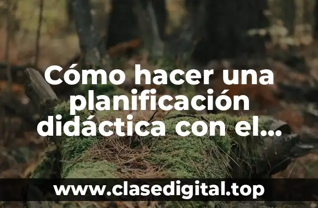 Cómo hacer una planificación didáctica con el nuevo modelo educativo
