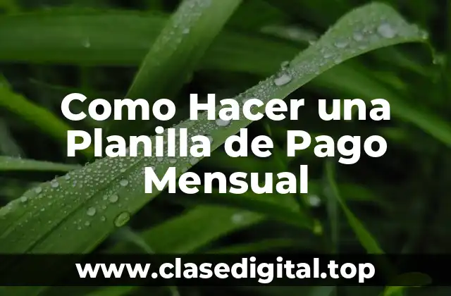 Como Hacer una Planilla de Pago Mensual