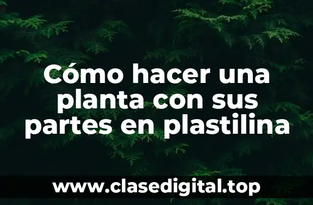 Cómo hacer una planta con sus partes en plastilina