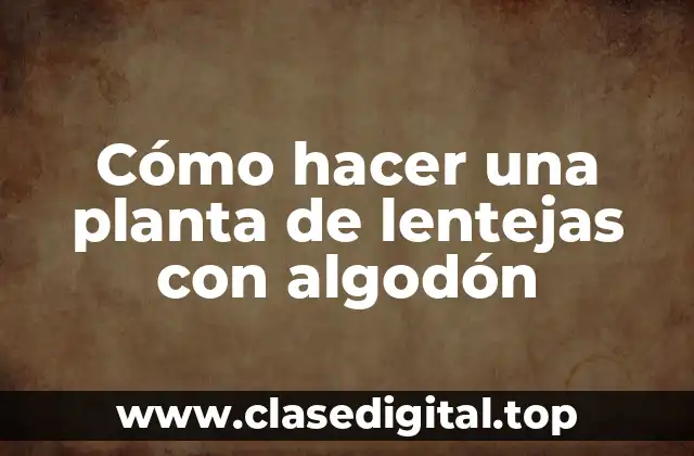 Cómo hacer una planta de lentejas con algodón