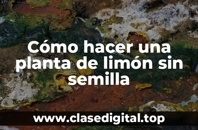 Cómo hacer una planta de limón sin semilla