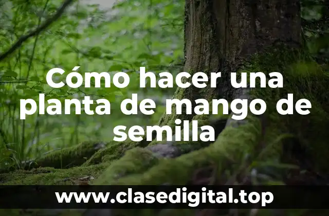 Cómo hacer una planta de mango de semilla