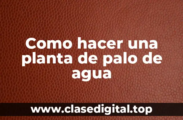 Como hacer una planta de palo de agua