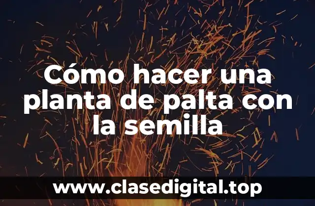 Cómo hacer una planta de palta con la semilla
