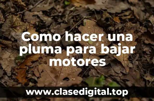 ¿Qué es una pluma para bajar motores?