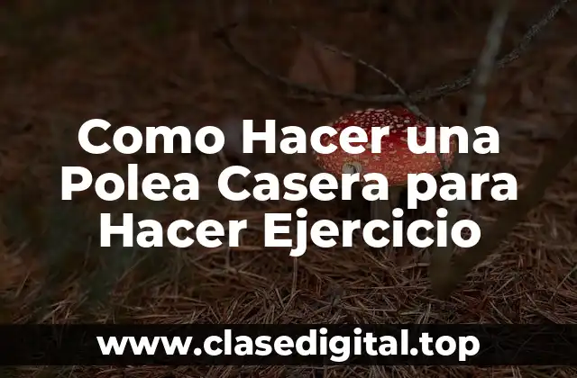 Como Hacer una Polea Casera para Hacer Ejercicio