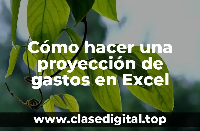 Cómo hacer una proyección de gastos en Excel
