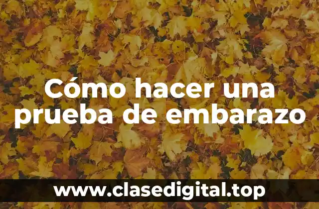 Cómo hacer una prueba de embarazo