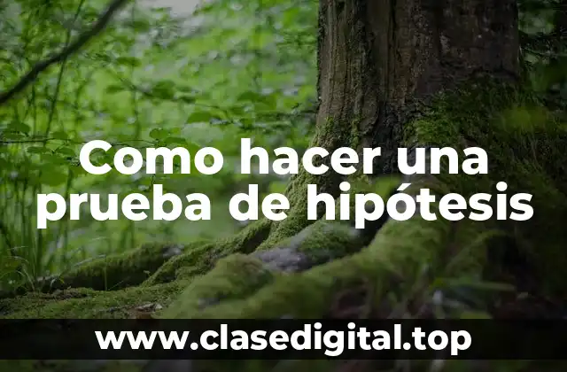 Como hacer una prueba de hipótesis