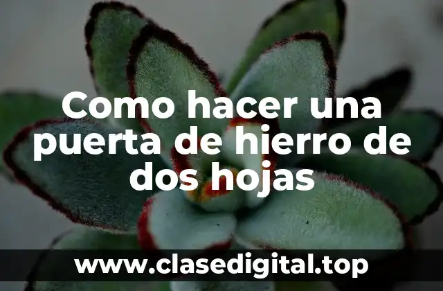 Como hacer una puerta de hierro de dos hojas