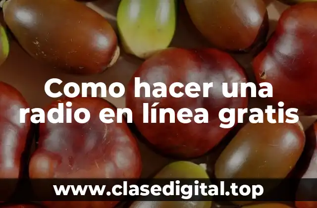 ¿Qué es una radio en línea y cómo funciona?