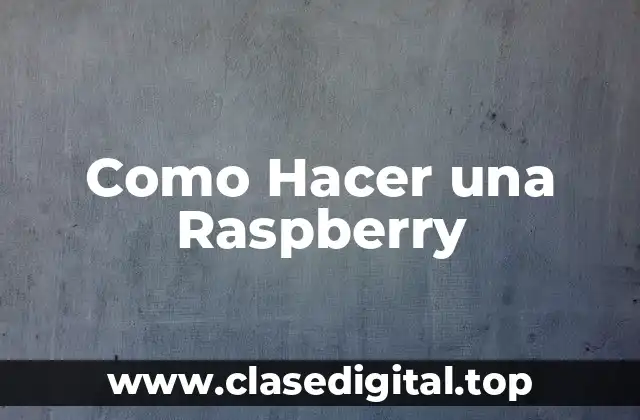 Como Hacer una Raspberry