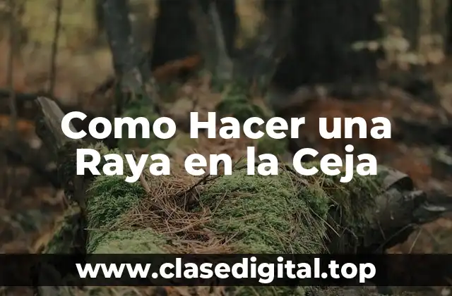 Como Hacer una Raya en la Ceja