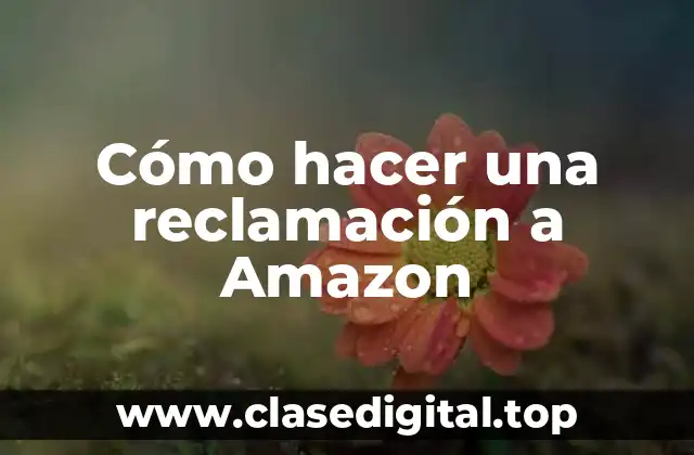 Cómo hacer una reclamación a Amazon