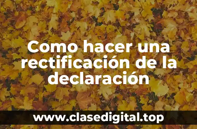 Como hacer una rectificación de la declaración
