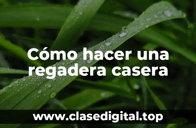 Cómo hacer una regadera casera